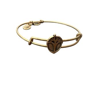 Alex and Ani Unexpected Miracles Bracelet